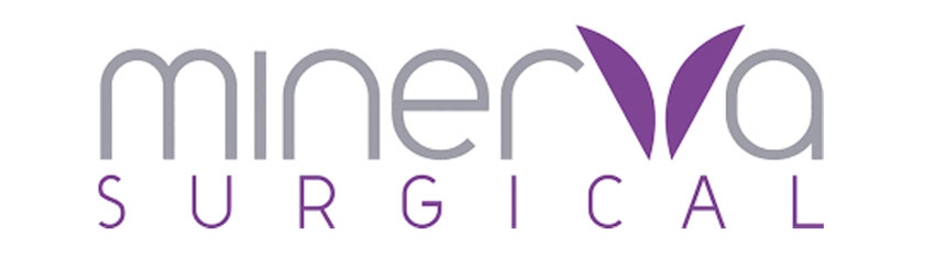 Minerva Surgical